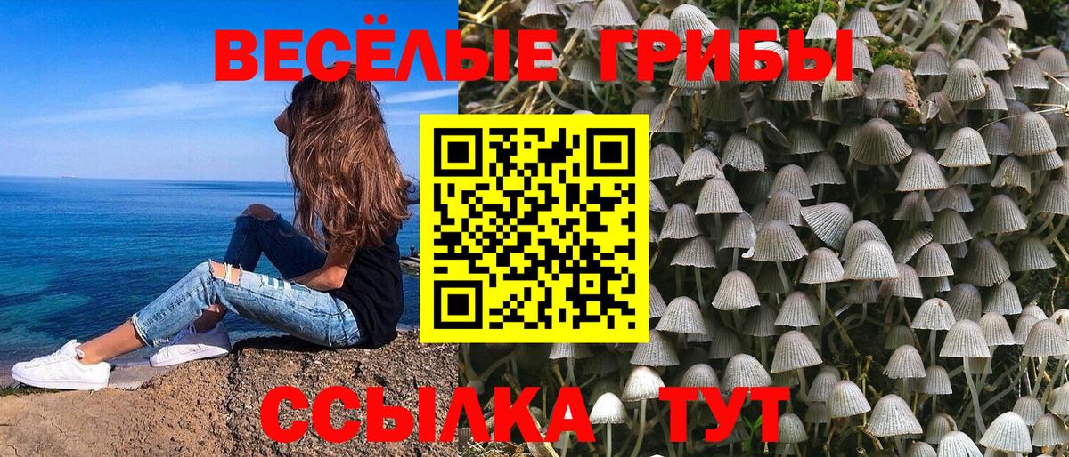 Псилоцибиновые грибы MAGIC MUSHROOMS Новоалександровск